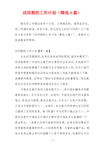 试用期的工作计划（精选4篇）