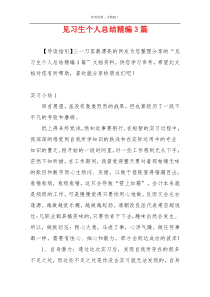见习生个人总结精编3篇