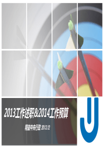 中央行政XXXX工作预算报告(新)
