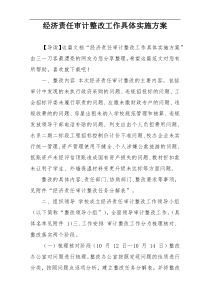 经济责任审计整改工作具体实施方案