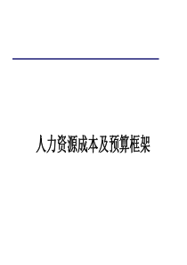 人力资源成本及预算框架