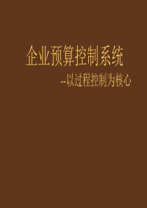 企业预算控制系统讲座