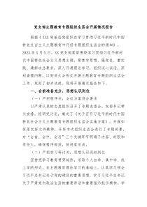 党支部主题教育专题组织生活会开展情况报告