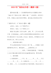 2023年广场协议内容（最新5篇）