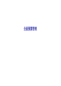 全面预算管理--v3