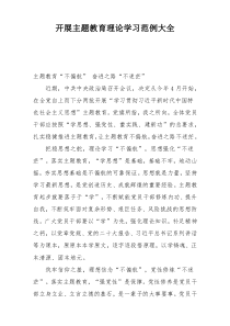 开展主题教育理论学习范例大全