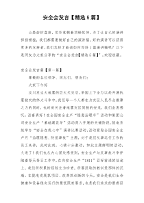 安全会发言【精选5篇】