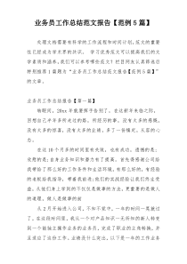 业务员工作总结范文报告【范例5篇】