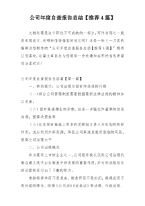 公司年度自查报告总结【推荐4篇】