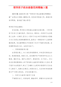 领导班子政治画像范例精编3篇