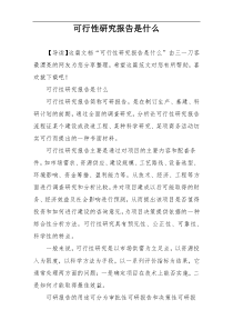 可行性研究报告是什么