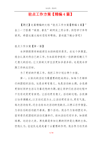 驻点工作方案【精编4篇】 (1)