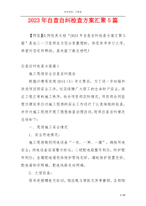 2023年自查自纠检查方案汇聚5篇