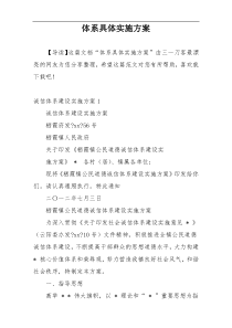 体系具体实施方案