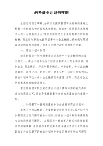融资商业计划书样例