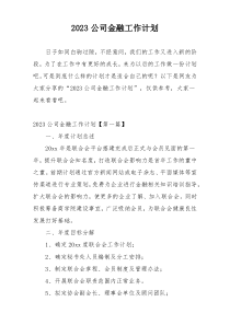 2023公司金融工作计划