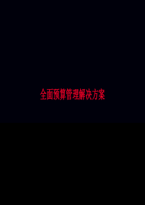 全面预算管理解决方案