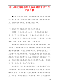中小学校铸牢中华民族共同体意识工作汇报3篇