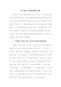 关于青马工程进展情况汇报