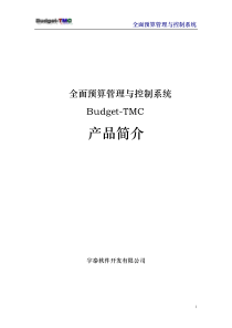 全面预算管理与控制系统简介