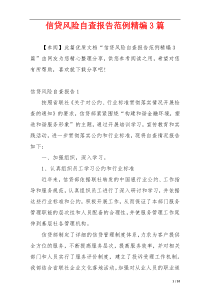 信贷风险自查报告范例精编3篇