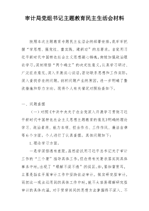 审计局党组书记主题教育民主生活会材料