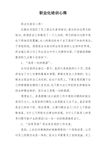 职业化培训心得