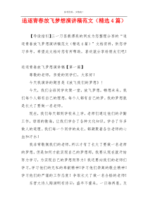 追逐青春放飞梦想演讲稿范文（精选4篇）