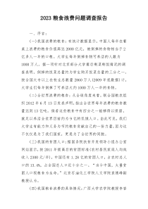 2023粮食浪费问题调查报告