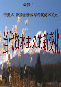 当代资本主义的新变化刘