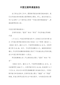 中国互联网调查报告