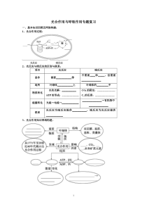 光合作用与呼吸作用专题复习