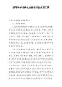 领导干部考核政治画像报告多篇汇聚