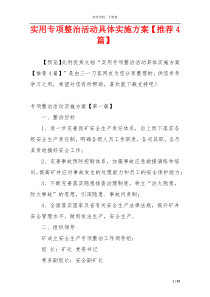 实用专项整治活动具体实施方案【推荐4篇】