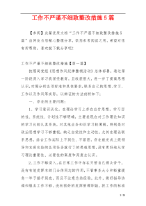 工作不严谨不细致整改措施5篇