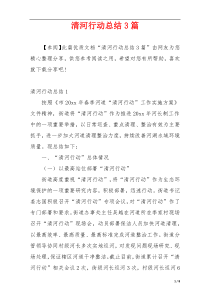 清河行动总结3篇