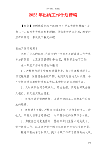 2023年出纳工作计划精编