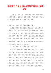 巡视整改民主生活会对照检查材料（通用5篇）
