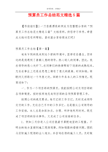 预算员工作总结范文精选5篇