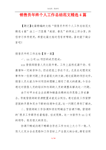 销售员年终个人工作总结范文精选4篇