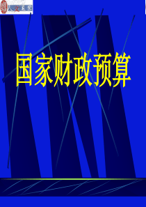 国家财政预算(51)