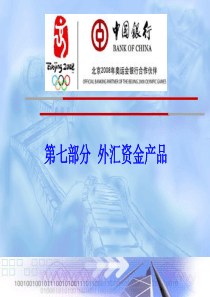 外汇资金