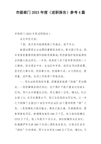 市级部门2023年度（述职报告）参考4篇