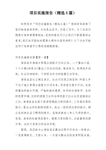 项目实施报告（精选5篇）