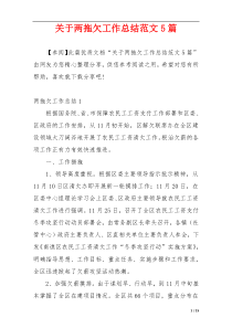 关于两拖欠工作总结范文5篇