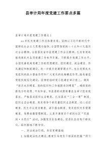 县审计局年度党建工作要点多篇