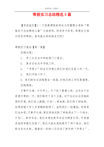 寒假实习总结精选5篇