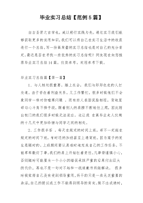 毕业实习总结【范例5篇】