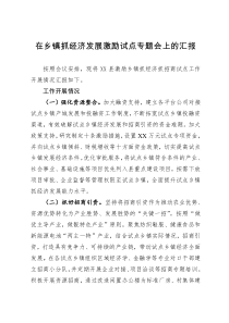 在乡镇抓经济发展激励试点专题会上的汇报