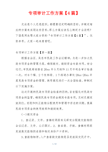 专项审计工作方案【4篇】